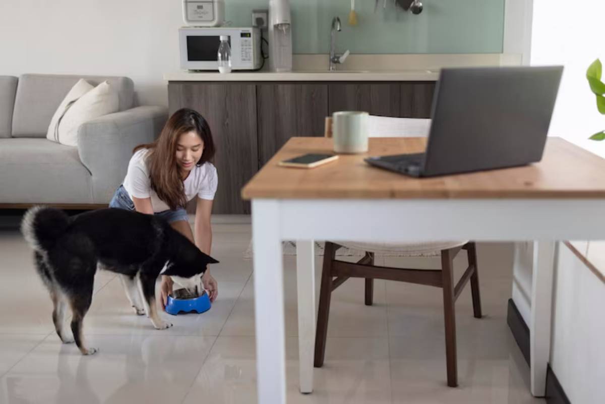 A person bends down to feed a dog in a modern kitchen with a laptop on the table and a coffee cup nearby. 